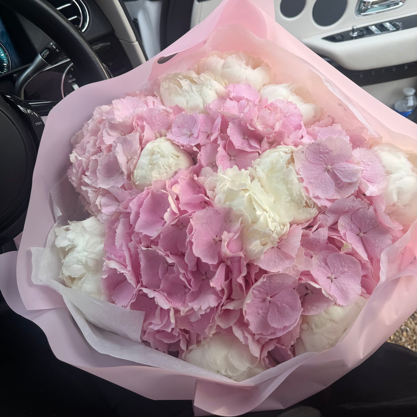 Ivory & Blush