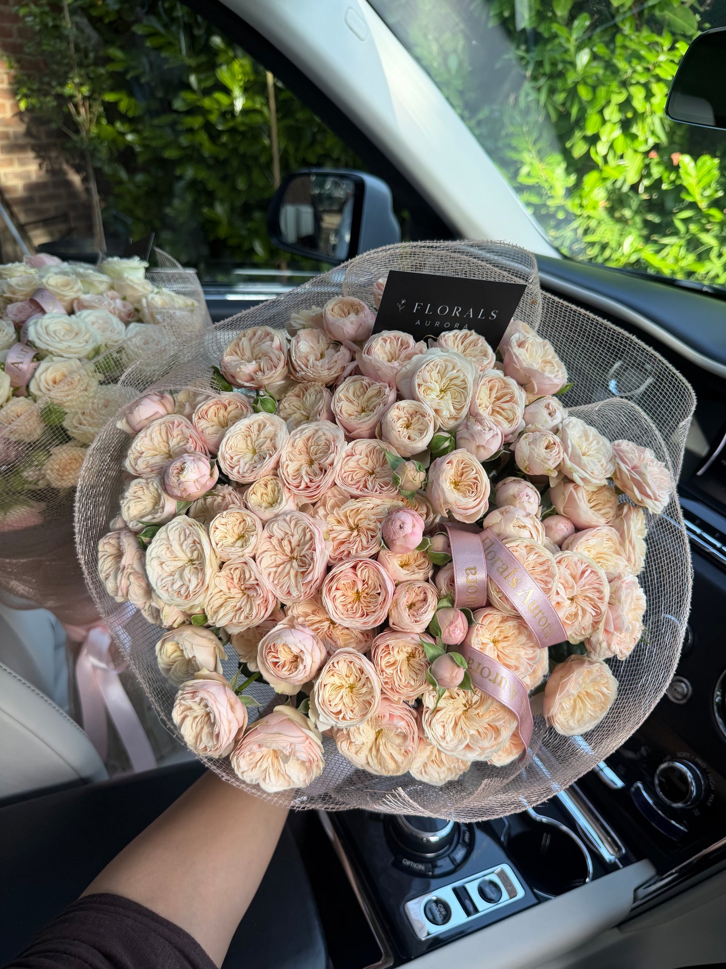 Garden pink spray roses