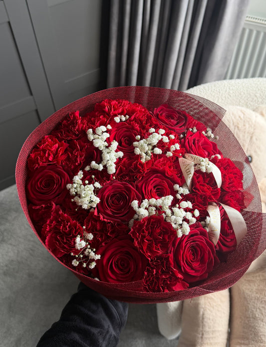 Red Velvet Bloom