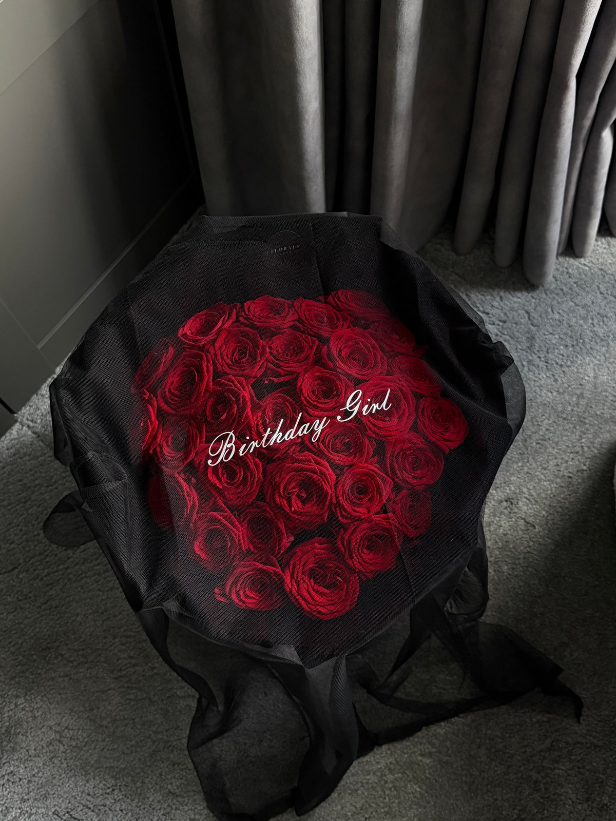 Velvet Rouge Veil